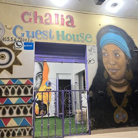 Ghalia Guest House Ασουάν Εξωτερικό φωτογραφία