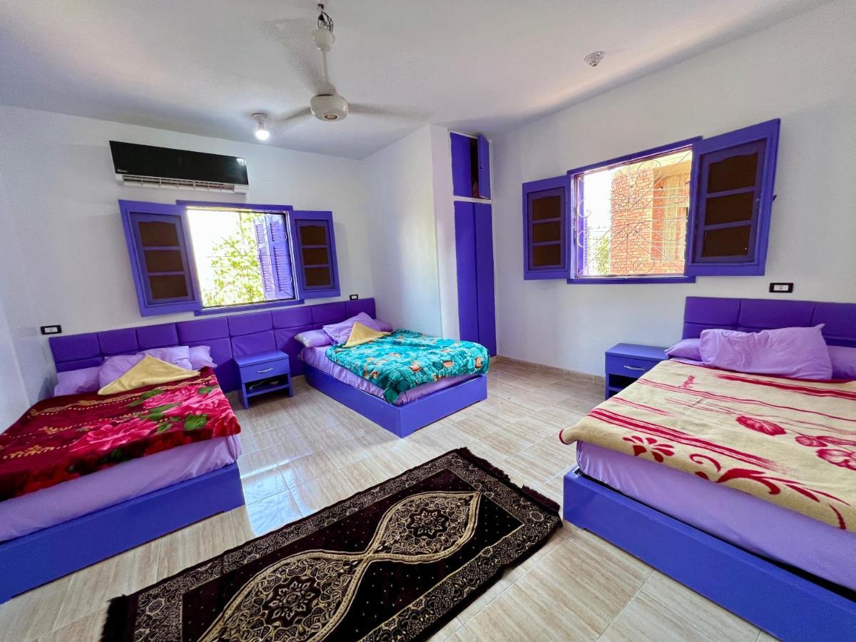 Ghalia Guest House Ασουάν Εξωτερικό φωτογραφία