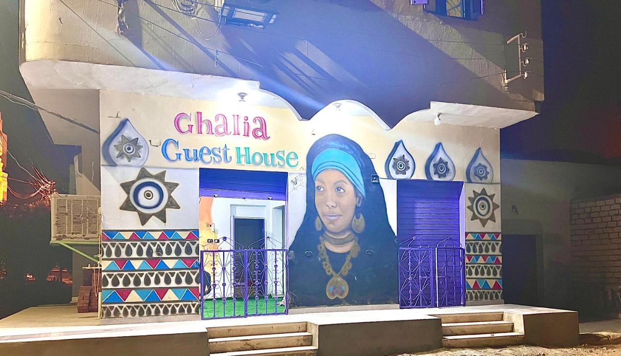 Ghalia Guest House Ασουάν Εξωτερικό φωτογραφία